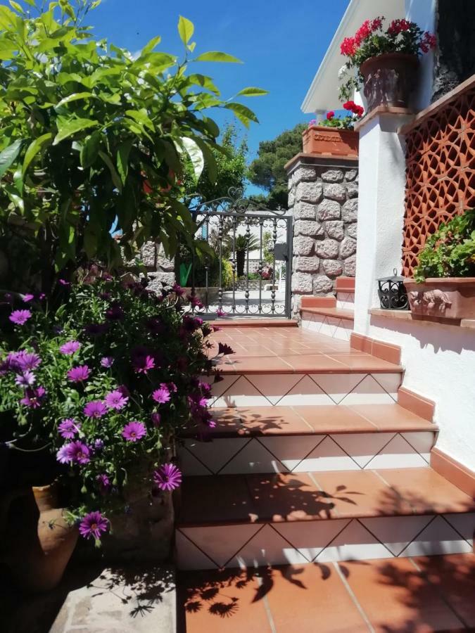 Capri Sea View Villa Exterior foto